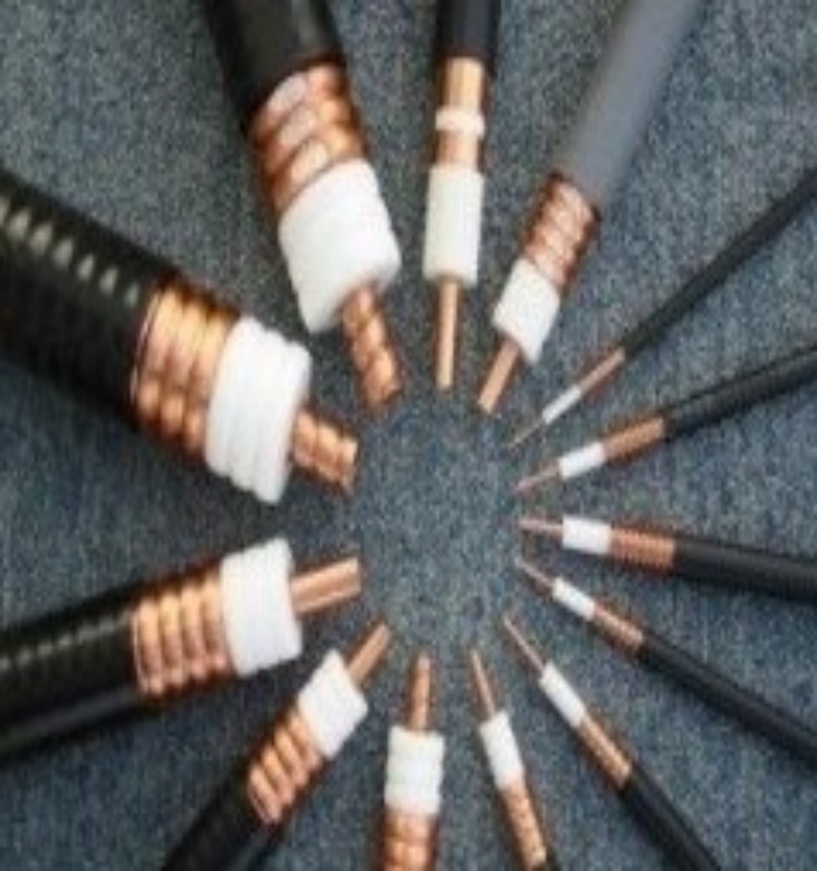 In the field of mechatronics