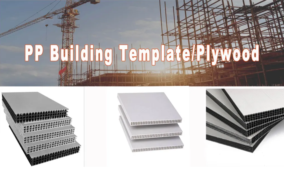 微信图片_20241104133105